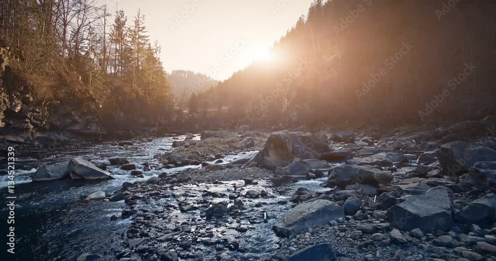 4K Aerial Drone View: Low Flight over beautiful mountain river in sunset time. Pine tree forest around. Carpathian Mountains, Ukraine, Europe. Majestic nature landscape. Beauty world. Vintage toning