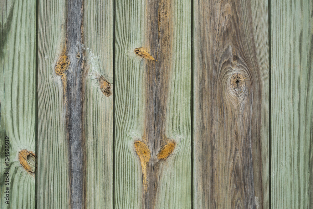 Textured Green Wood Wall with Heart Shaped Knot