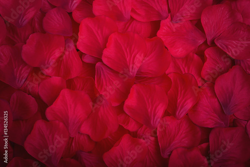 Red fabric rose petals © jasoncoxphotography