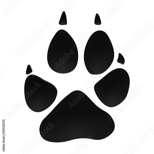 Gray Wolf Tracks - 3D animal footprint