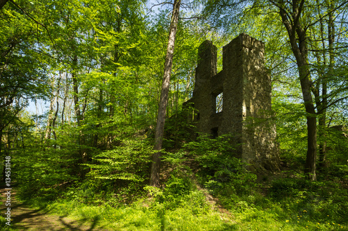 Burgruine Schwarzenberg in Plettenberg