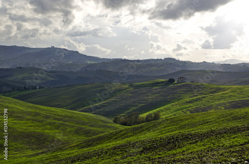 Panoramic view whit in Tuscany © marcwhite