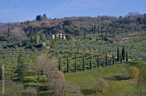 Hill in tuscany with Cypress and rural house