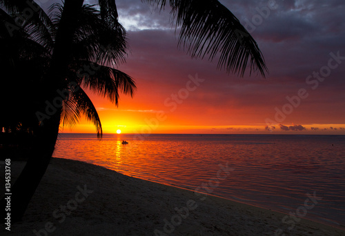 Tahitian sunset with palm trees and a Paddle-boat 