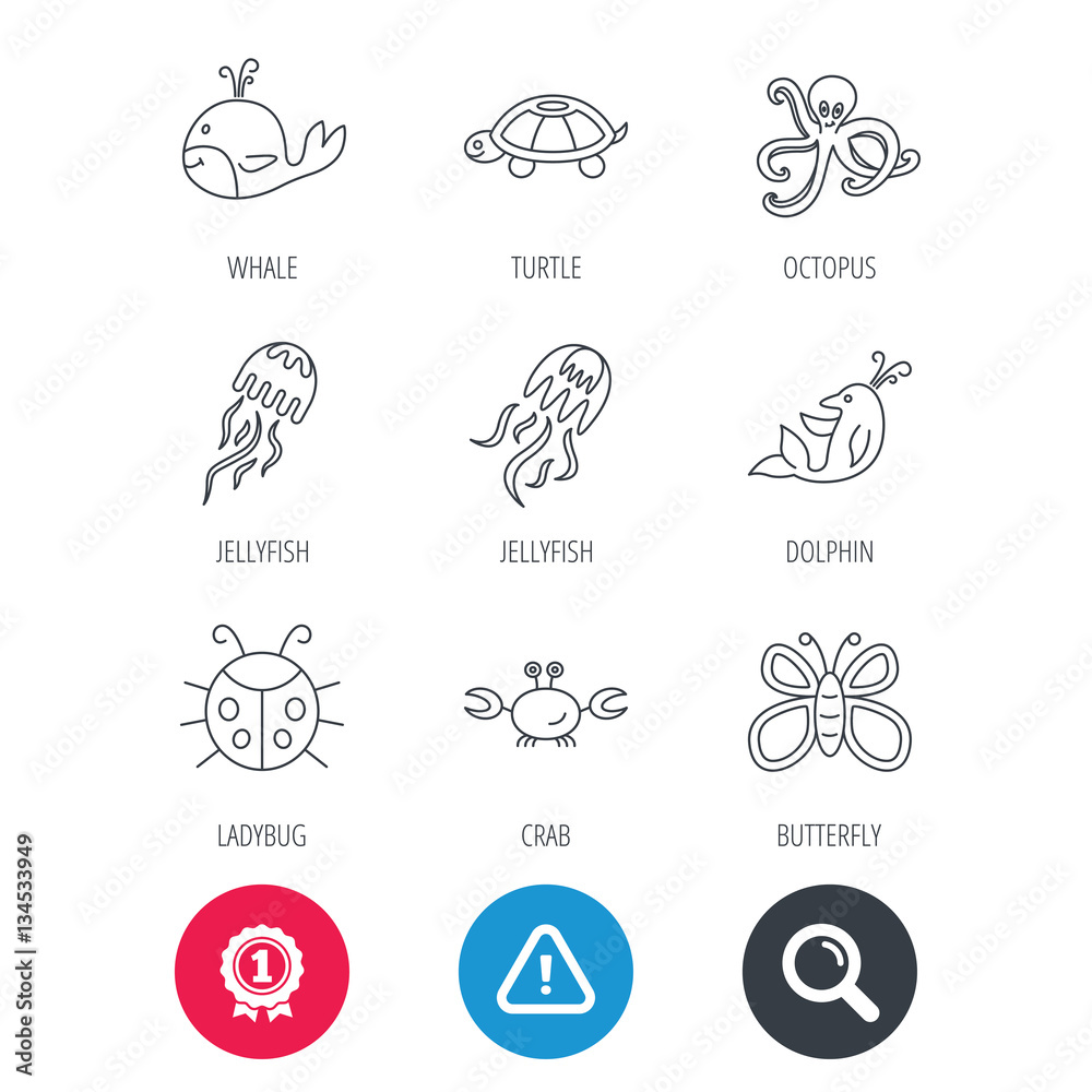 Achievement and search magnifier signs. Octopus, turtle and dolphin icons. Jellyfish, whale and ladybug linear signs. Crab, butterfly flat line icons. Hazard attention icon. Vector