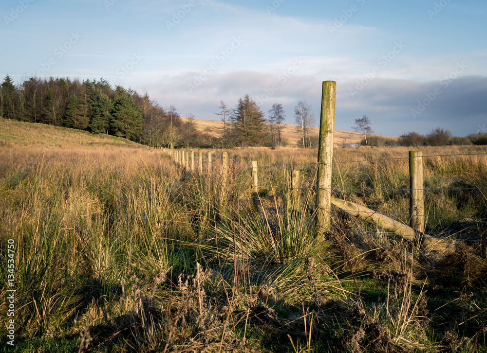 Old Fence in Cumbria