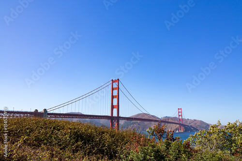Foliage with the Golden Gate Bridge in San Francisco, California.