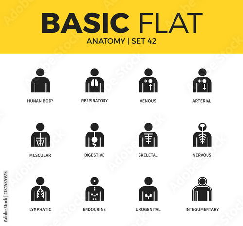 Basic set of anatomy icons