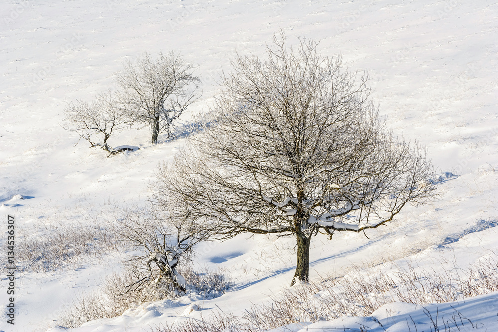 Winter mountain scenery in Bieszczady mountains, South Eastern Poland Winter mountain scenery in Bieszczady mountains, South Eastern Poland