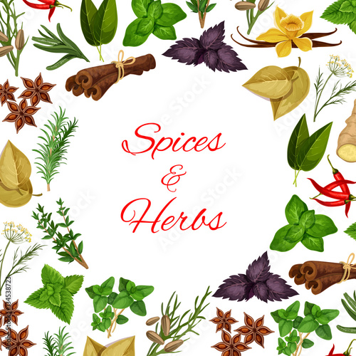 Spices and herbs in round shape vector poster