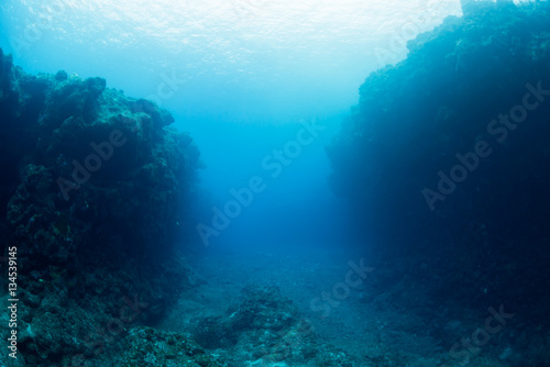Underwater Channel © divedog