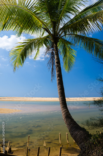Coconut palms on the beach and blue sky. photo