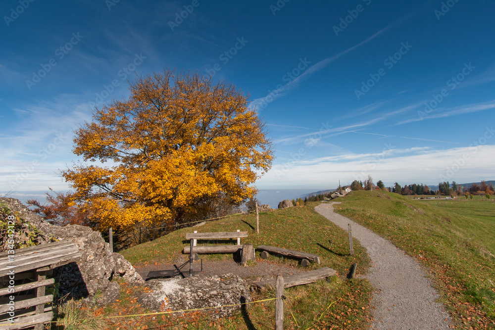 Amazing autumn landscape under Mount Rigi, Alps, Switzerland 