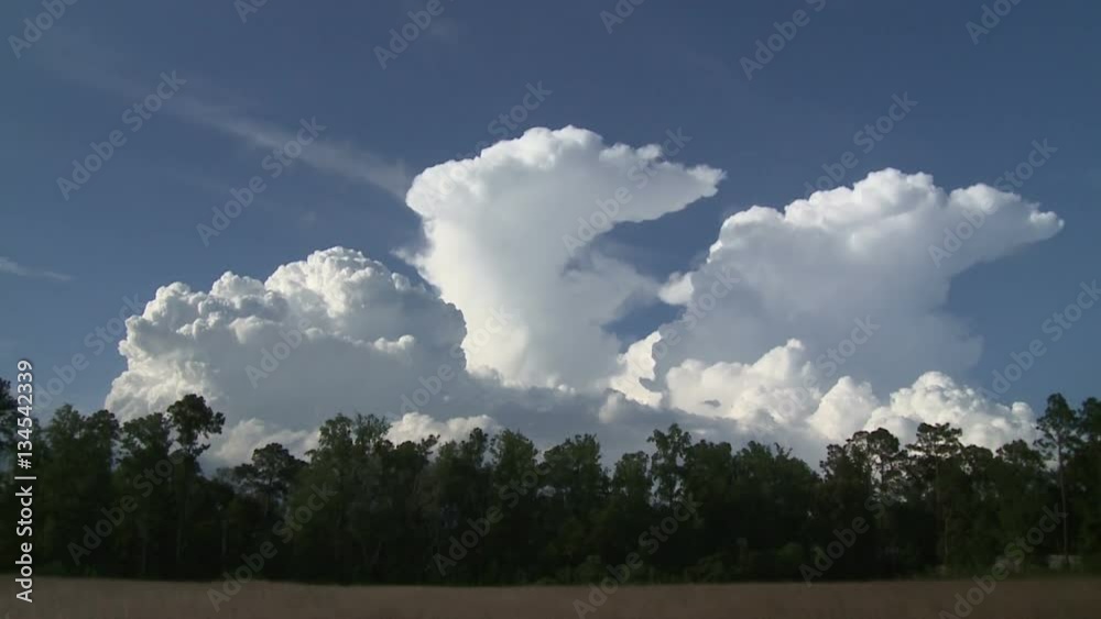 Thunderheads Boil Above Alabama Forest Thunderheads Boil Above Alabama Forest