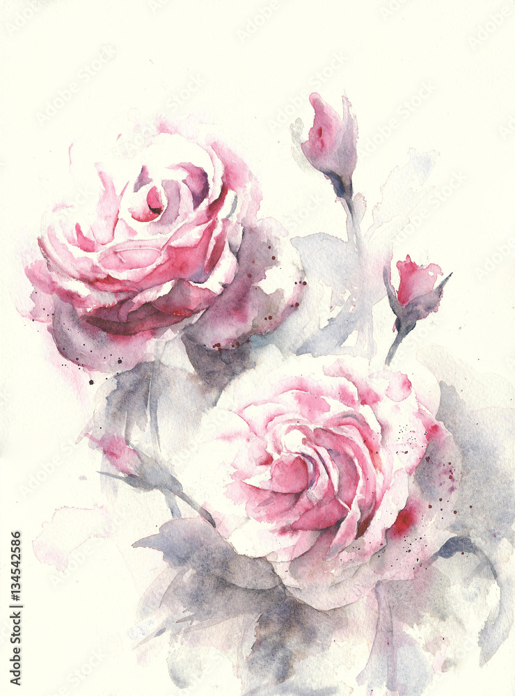 Obraz Róża kwitnie akwarela obrazu ilustraci kartka z pozdrowieniami