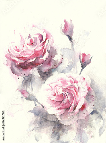 Obraz na płótnie Róża kwitnie akwarela obrazu ilustraci kartka z pozdrowieniami