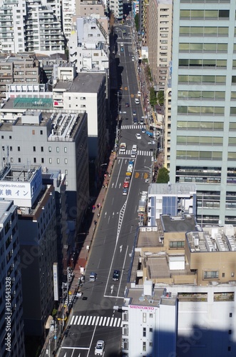 東京都心の道を俯瞰