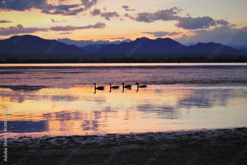 Ducks in the lake at sunset with mountains in the background Ducks in the lake at sunset with mountains in the background