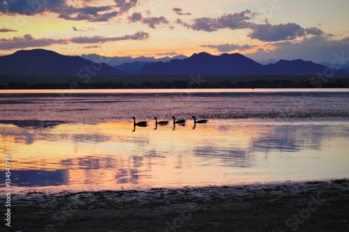 Ducks in the lake at sunset with mountains in the background