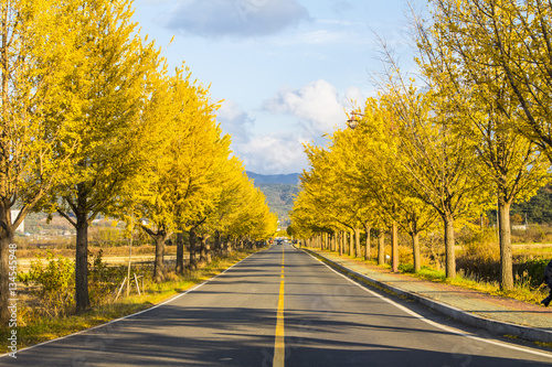 Beautiful Autumn Landscape © DAWOOL