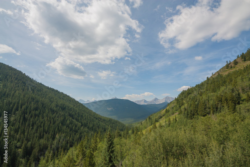 Forested Valley