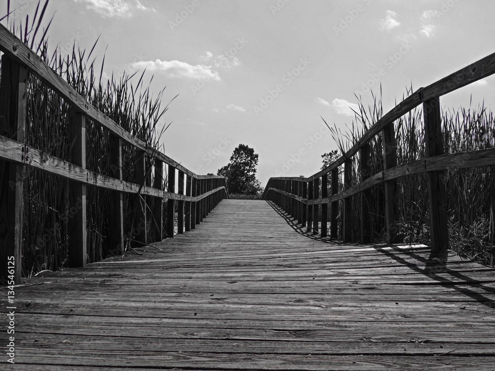 The Bridge The Bridge