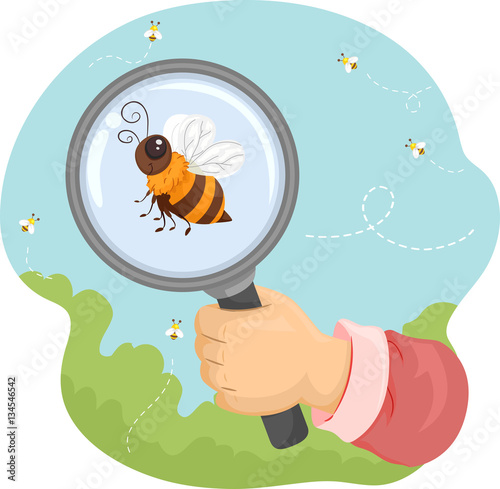Bee Hand Magnifying Glass