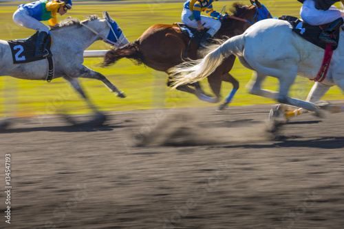 Fototapeta Naklejka Na Ścianę i Meble -  Horse Race colorful bright sunlit slow shutter speed motion effect fast moving thoroughbreds