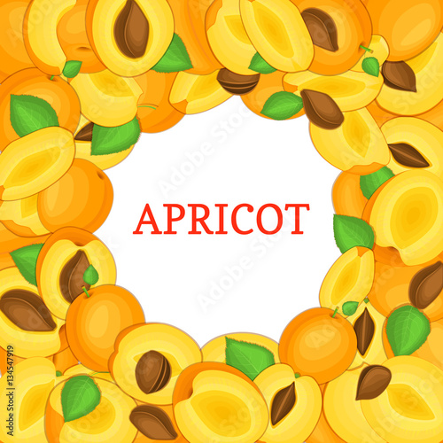 Round colored frame composed of delicious juicy apricot fruit. Vector card illustration. Circle apricots frame. Ripe fresh fruits appetizing looking for packaging design of juice, breakfast food