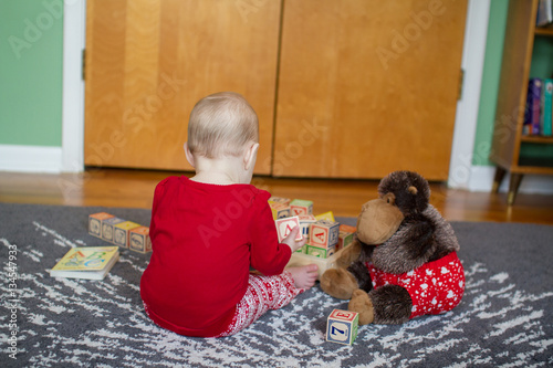 Book, Blocks, Stuffed Animal