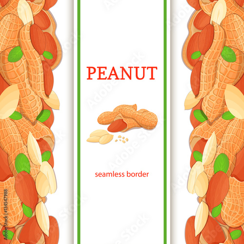 peanut nut vertical seamless border. Vector illustration with composition of a delicious peanuts nuts fruit in the shell whole shelled leaves appetizing looking for packaging design healthy food