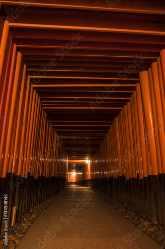 Fushimi Inari at Kyoto in the night