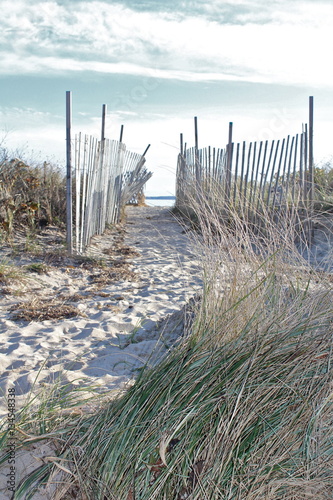 A walk to the beach 