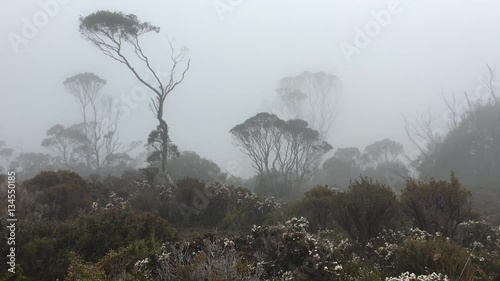Cradle Mountain Overland Track