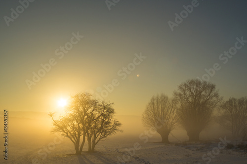 Winterlicher Sonnenuntergang bei Nebel