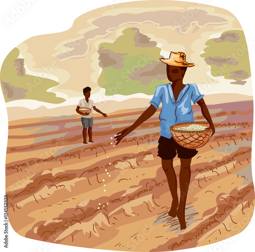 Man Traditional Farming Seeds