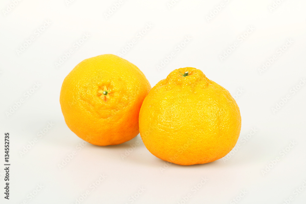 hallabong