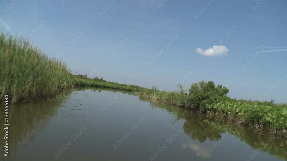 Airboat Ride Through Florida Everglades Airboat Ride Through Florida Everglades