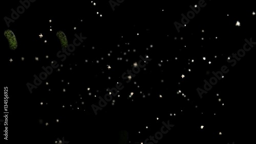 Bacteria swimming in aqueous solution primeval primordial