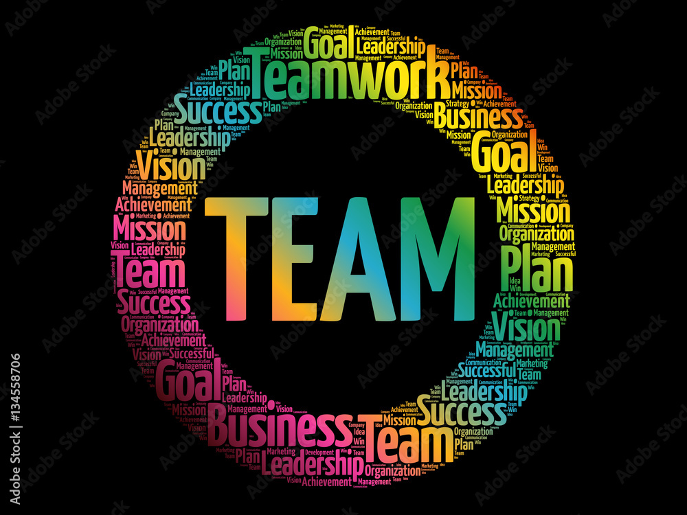 TEAM circle word cloud, business concept