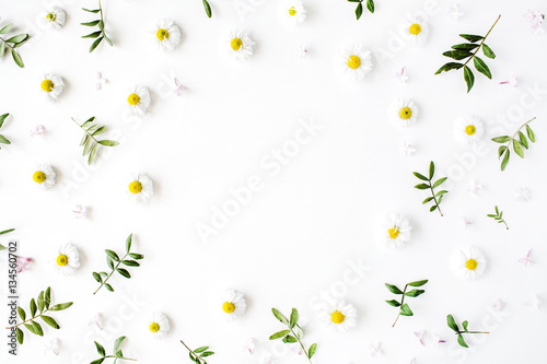 Frame of chamomiles, branches, leaves and lilac petals on white background. Flat lay, top view photo