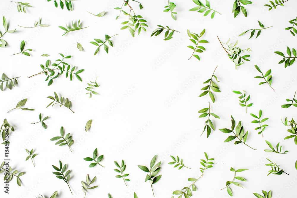 Frame of green branches and leaves on white background. Flat lay, top view Frame of green branches and leaves on white background. Flat lay, top view