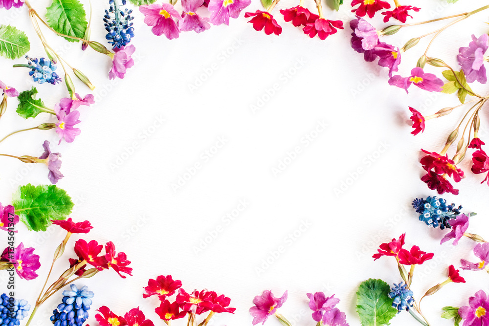 Frame of wildflowers on white background. Flat lay, top view Frame of wildflowers on white background. Flat lay, top view