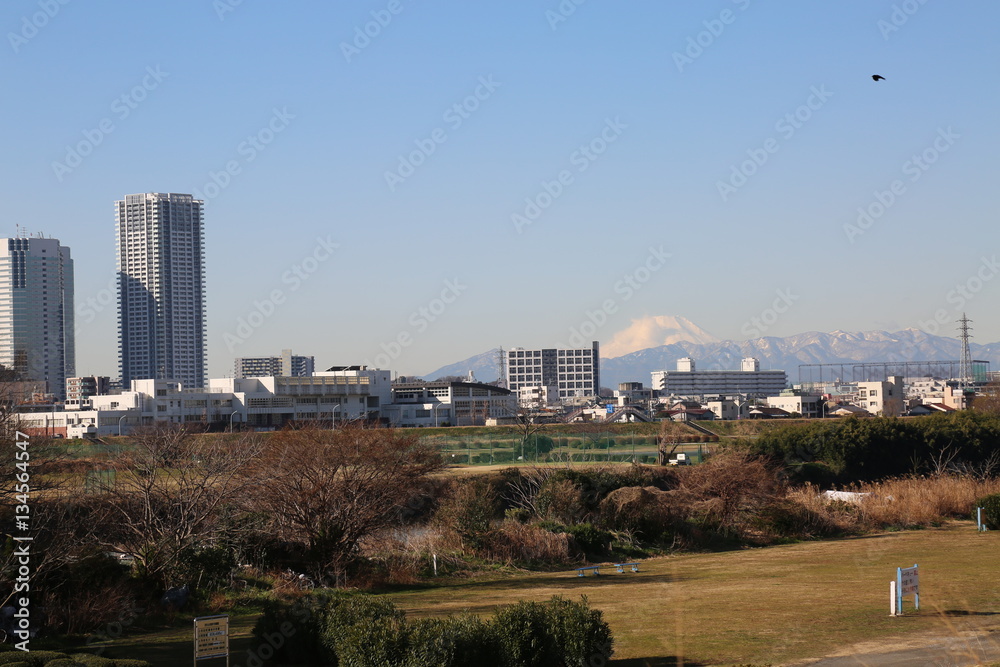 多摩川からの風景