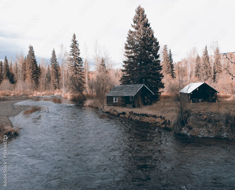 Fototapeta premium Log Cabins