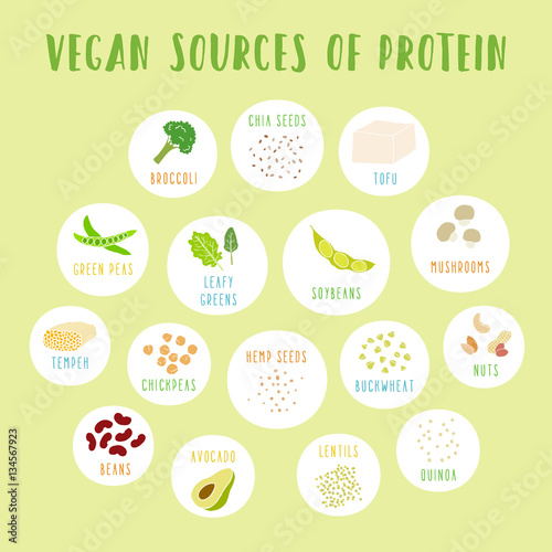 Vegan sources of protein. Vector info poster. 
