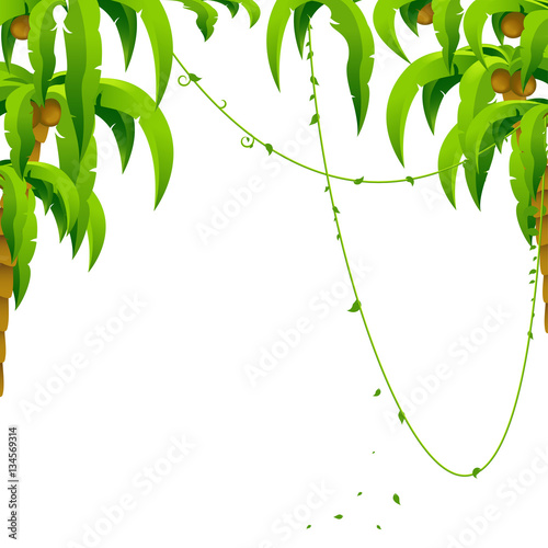 Palm trees and coconuts, background, vector image