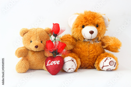 Two brown teddy bear with a red rose on a white background.