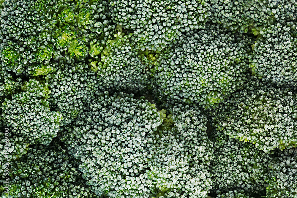 Fresh frozen green broccoli with hoarfrost closeup as background. Healthy vitamin food. Fresh frozen green broccoli with hoarfrost closeup as background. Healthy vitamin food.