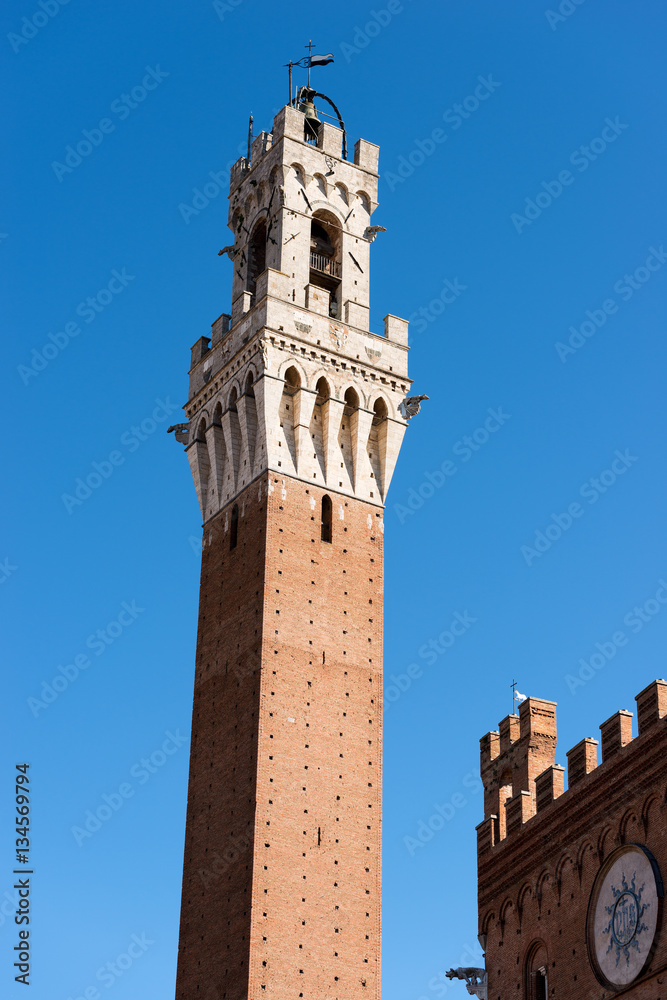 Torre del Mangia (Tower of Mangia) 1348. Siena, Tuscany, Italy